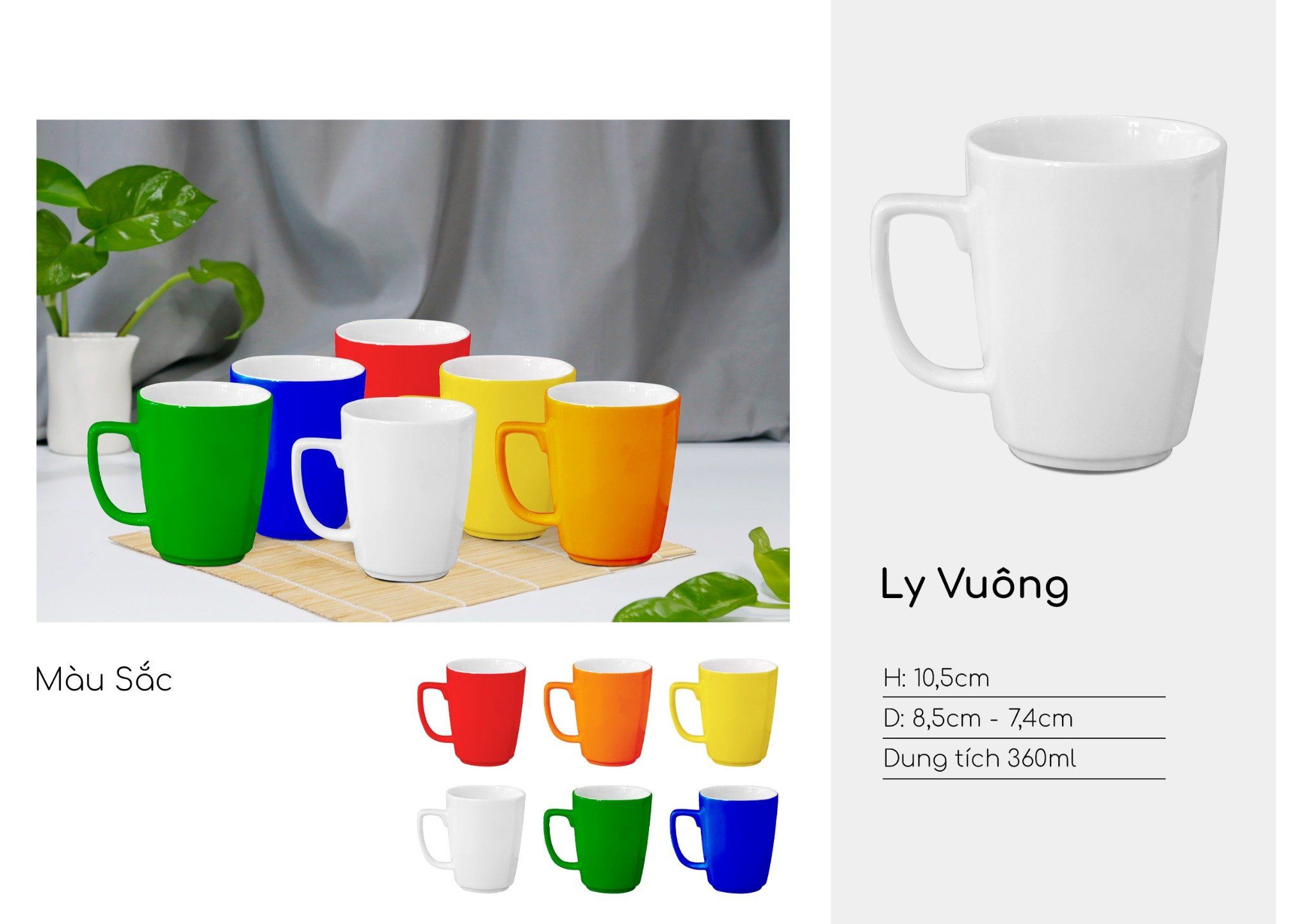 Ly sứ vuông