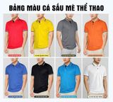  Áo Thun Polo có cổ 