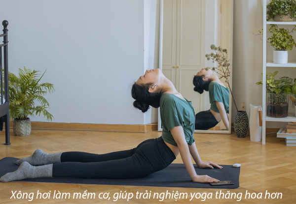 Cho thuê ghế ngồi xông hơi kim tự tháp