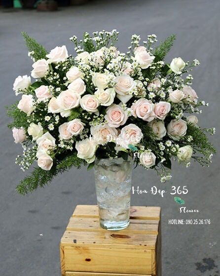 Thiệp Hồng - HCB43 - Điện Hoa
