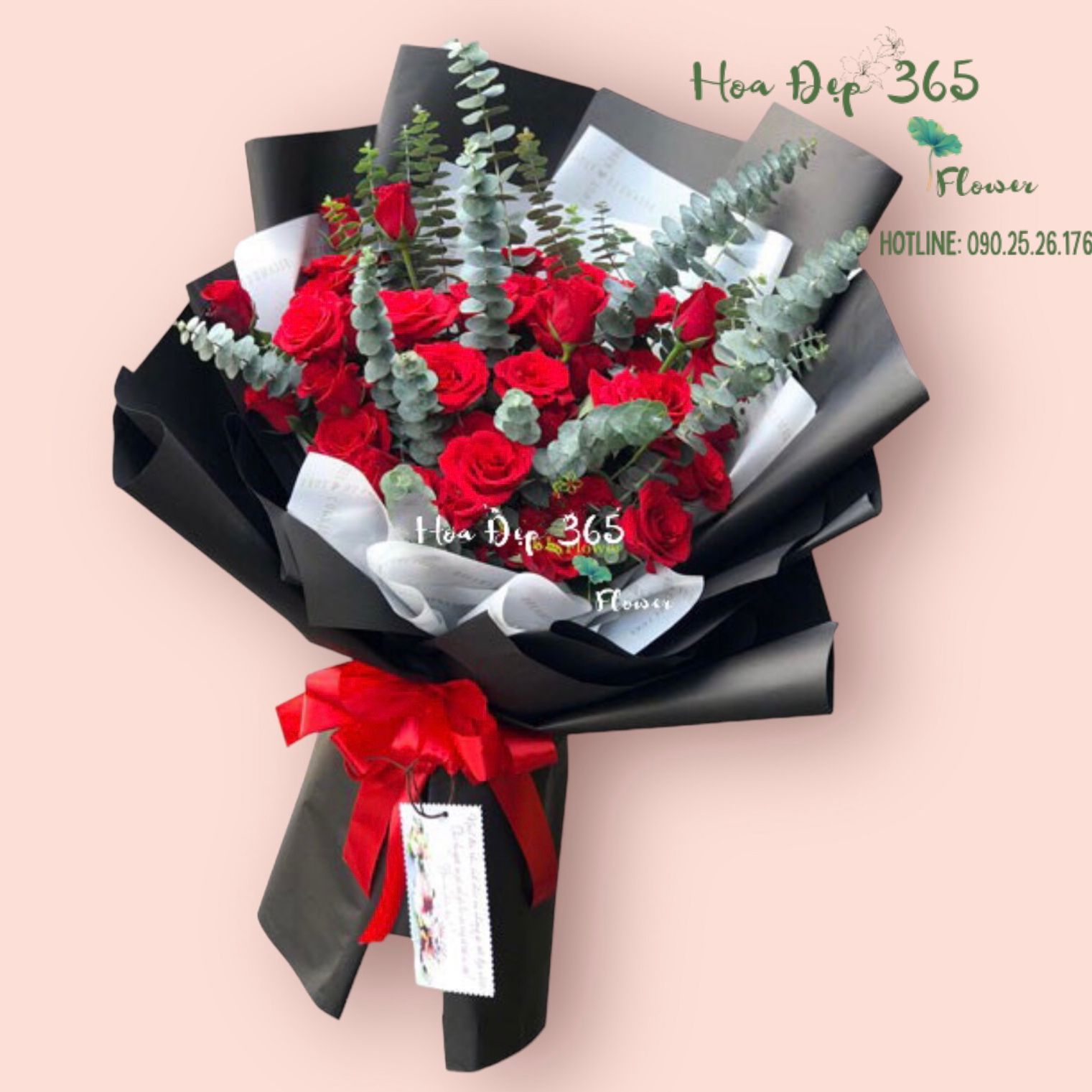 Nồng Thắm - HBD173