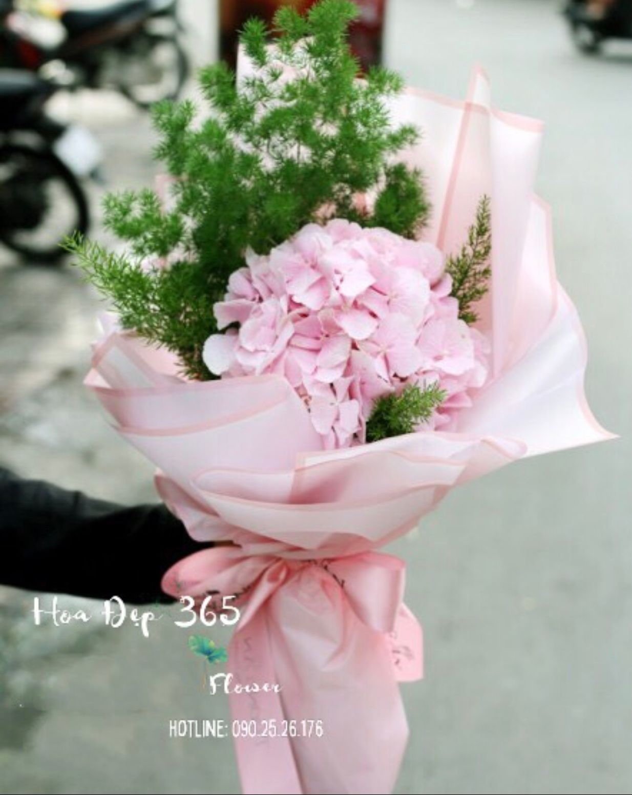 Bó Cẩm Tú Cầu Nhập - HBT09 - Hoa tặng mẹ
