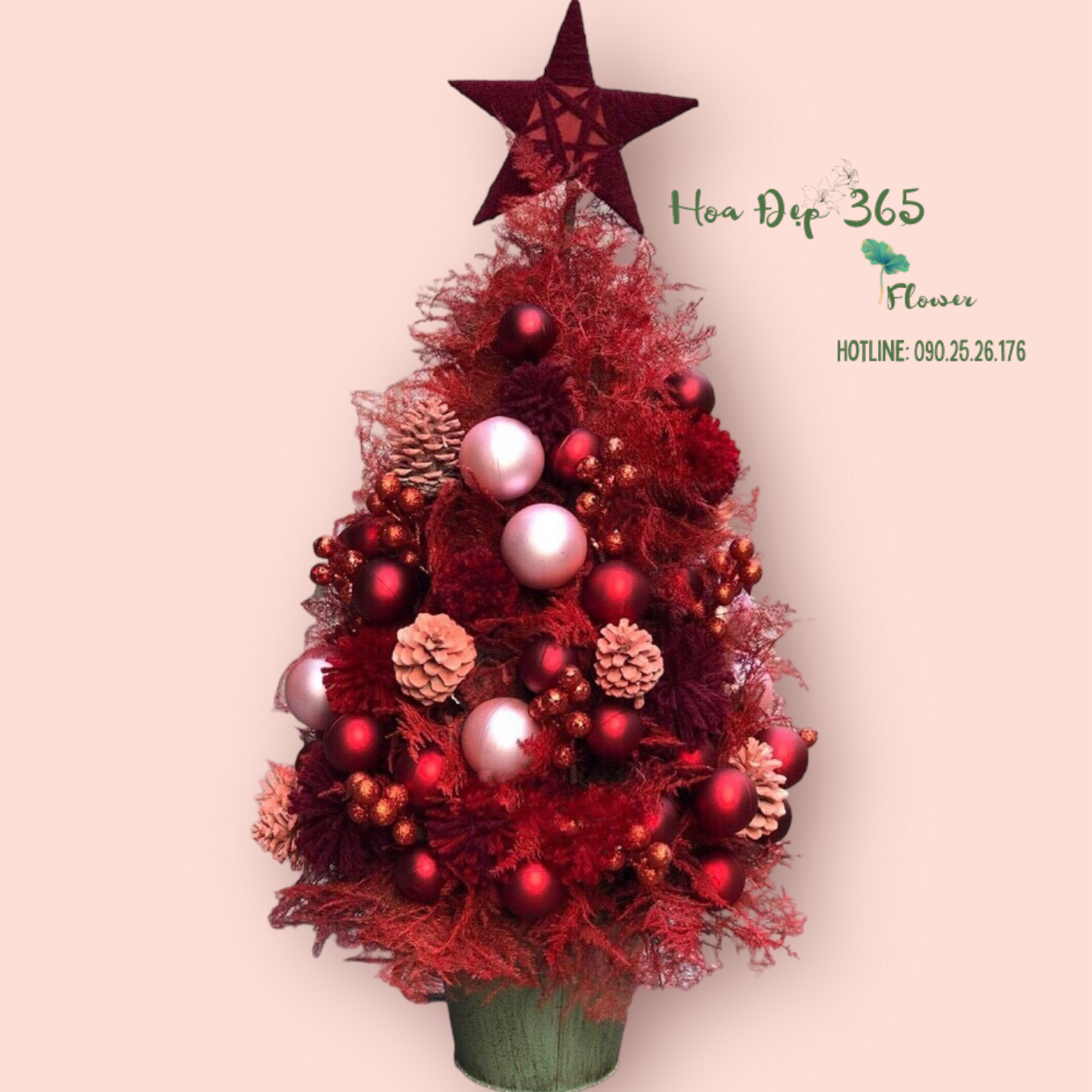  Cây Thông Noel Jingle - HGS05 - Quà Giáng Sinh 