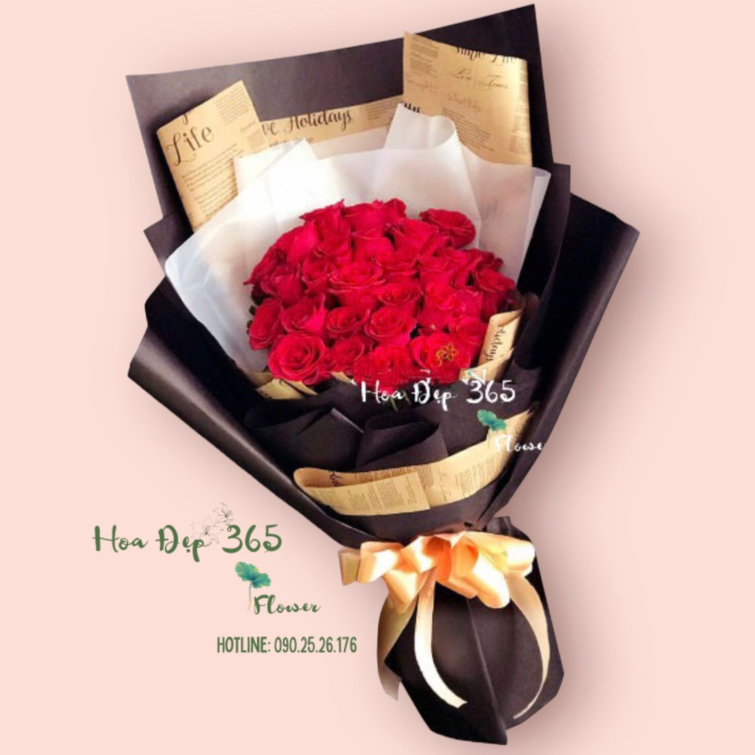 Gõ Cửa Trái Tim - HBD178