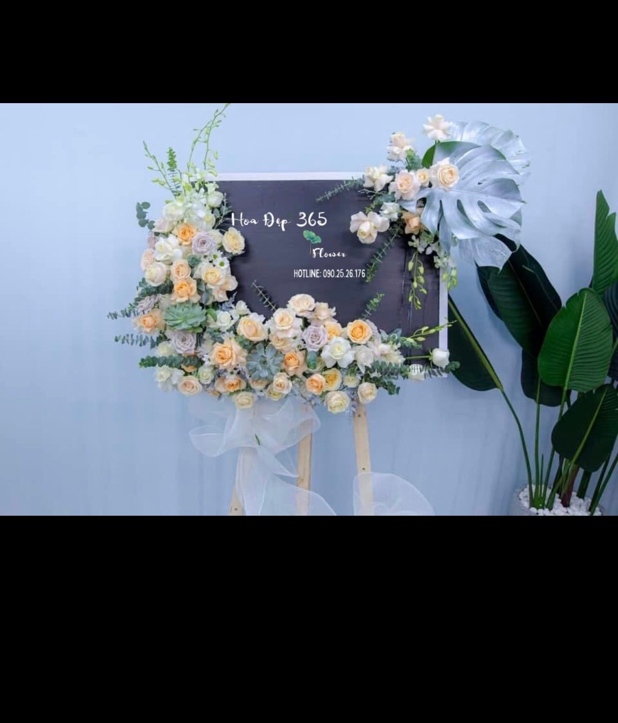 Hạ Buồn - HTL109 - Vòng Hoa Đám Tang