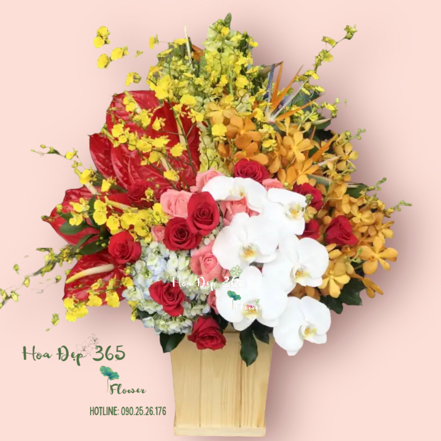 Hộp Hoa Nắng Ấm - HCH96