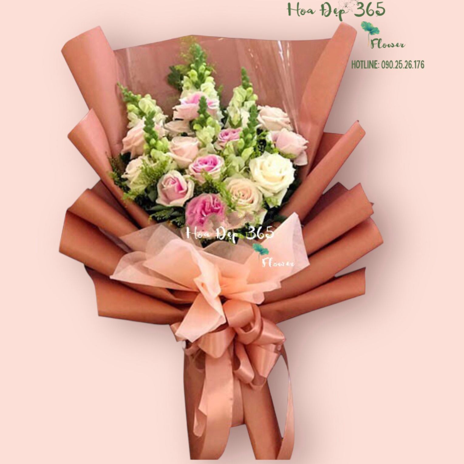 Sự Quan Tâm - HBD164