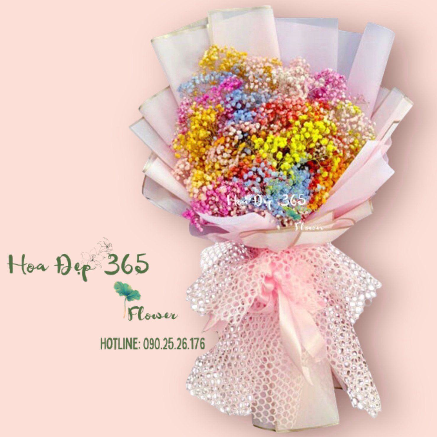 Cầu Vòng - HBD102