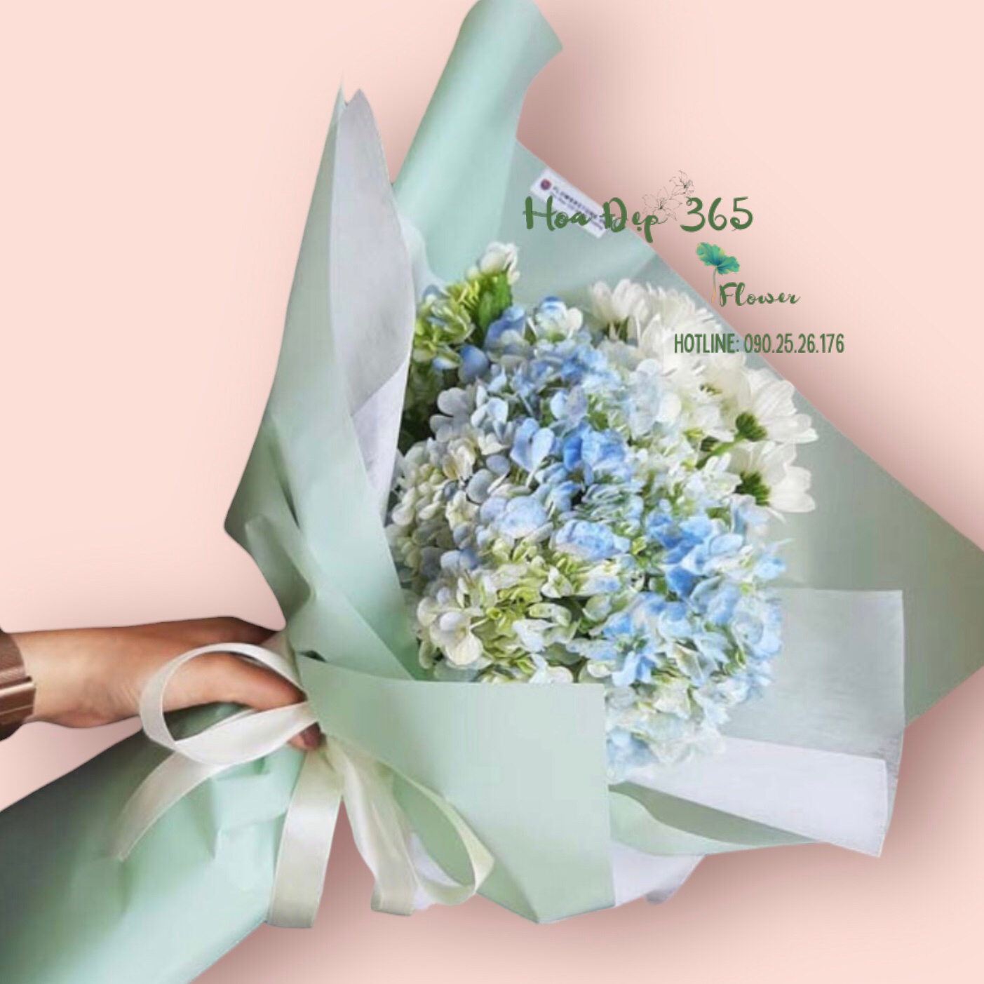 Under The Blue Sky - HBT53 - Hoa 20/11 - Hoa Cẩm Tú