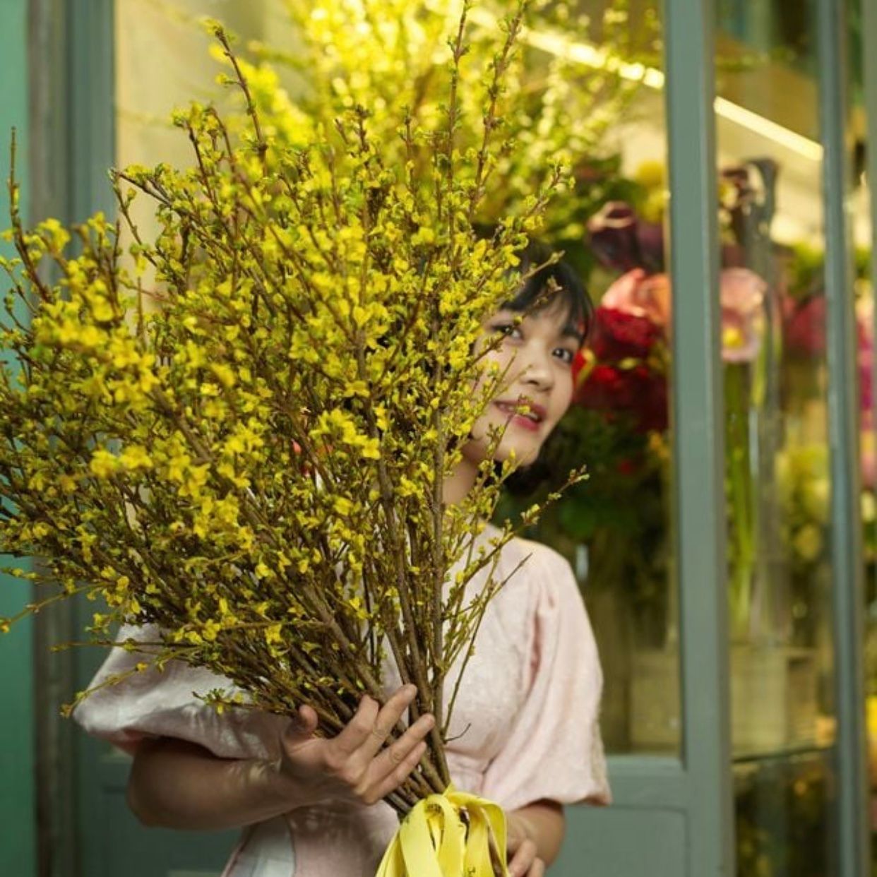 Hoa Mai Mỹ - Hoa cắt cành