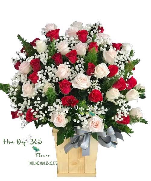 Tự Tình - HCH57