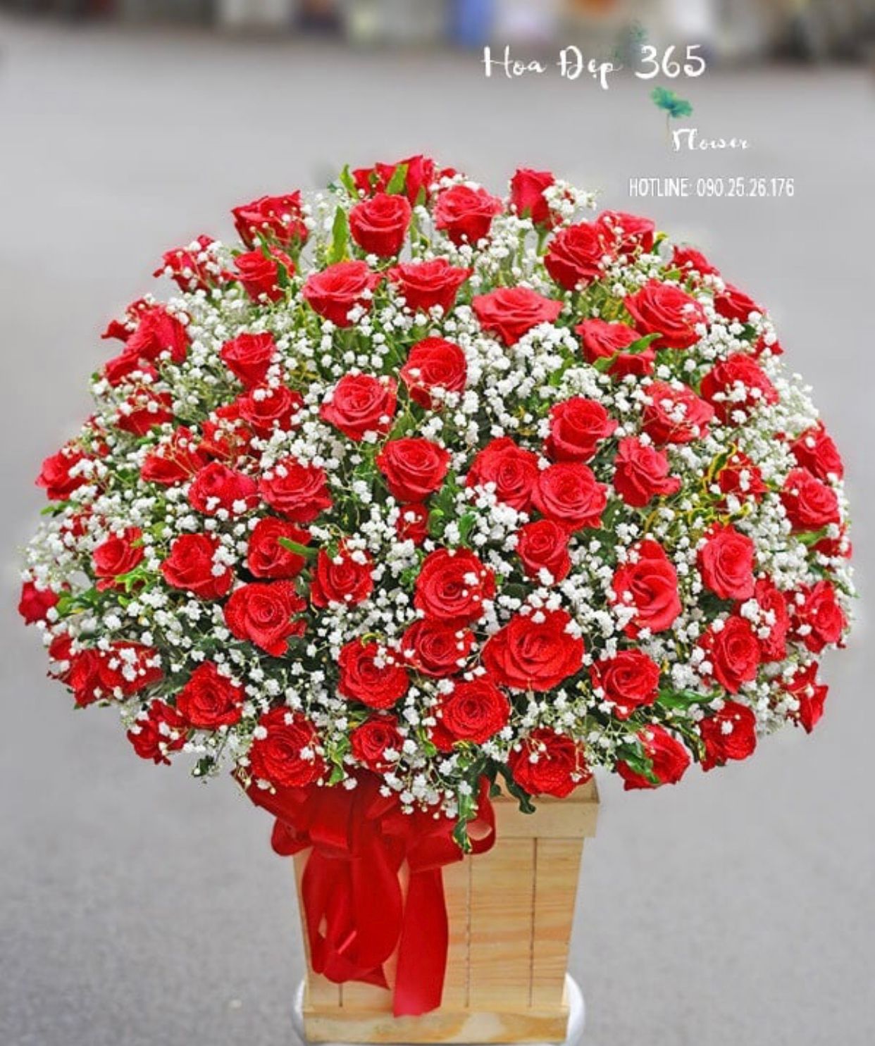 Nồng Cháy - HCH79 - Hoa Hồng 20/10