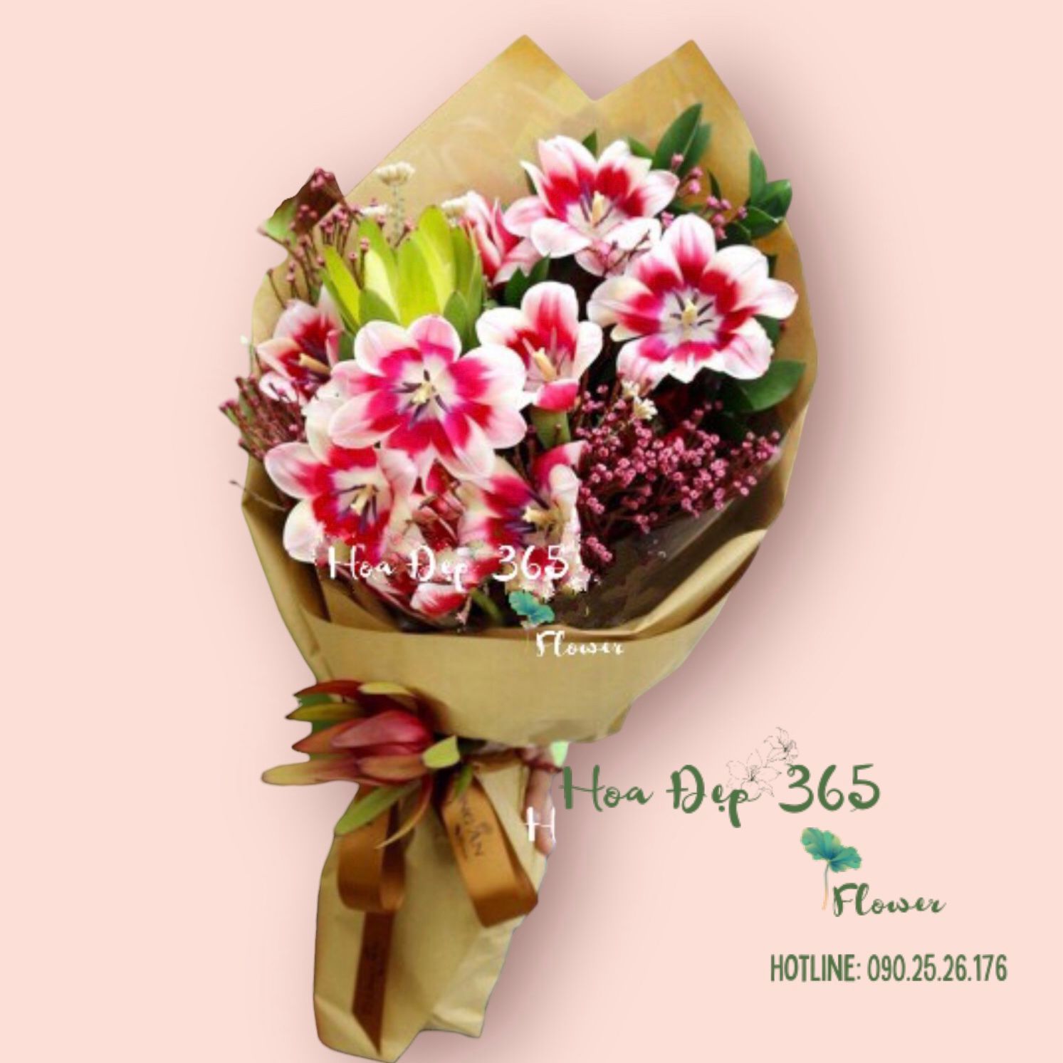 Bó Hoa Tulip Hà Lan - HBD52