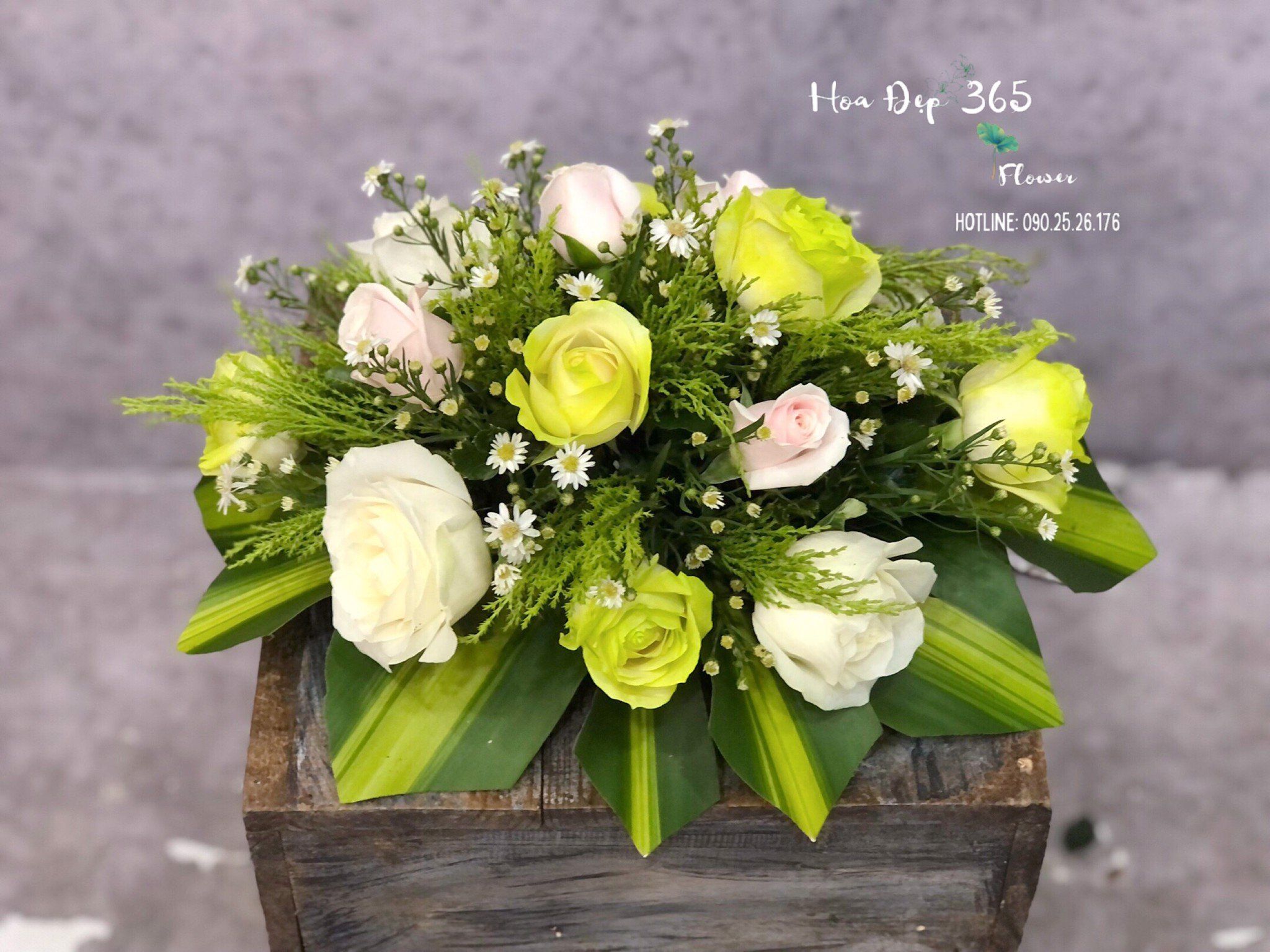 Hoa Để Bàn - Ovan 15 - Hoa Đẹp 20/11