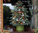  Cây Thông Noel Evergreen - HGS06 - Giáng Sinh An Lành 