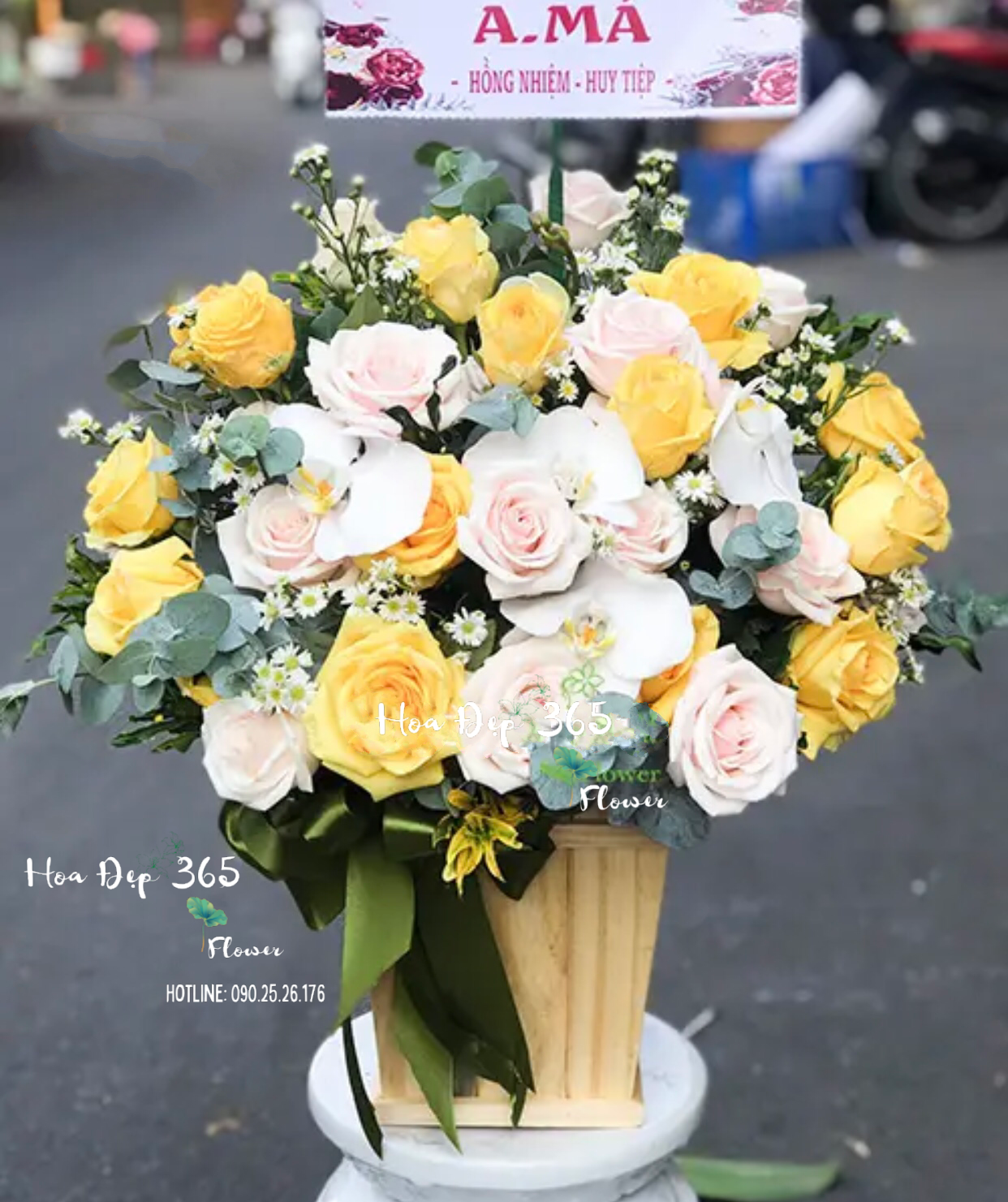 Sắc Hồng Xinh - HCH36 - Điện Hoa