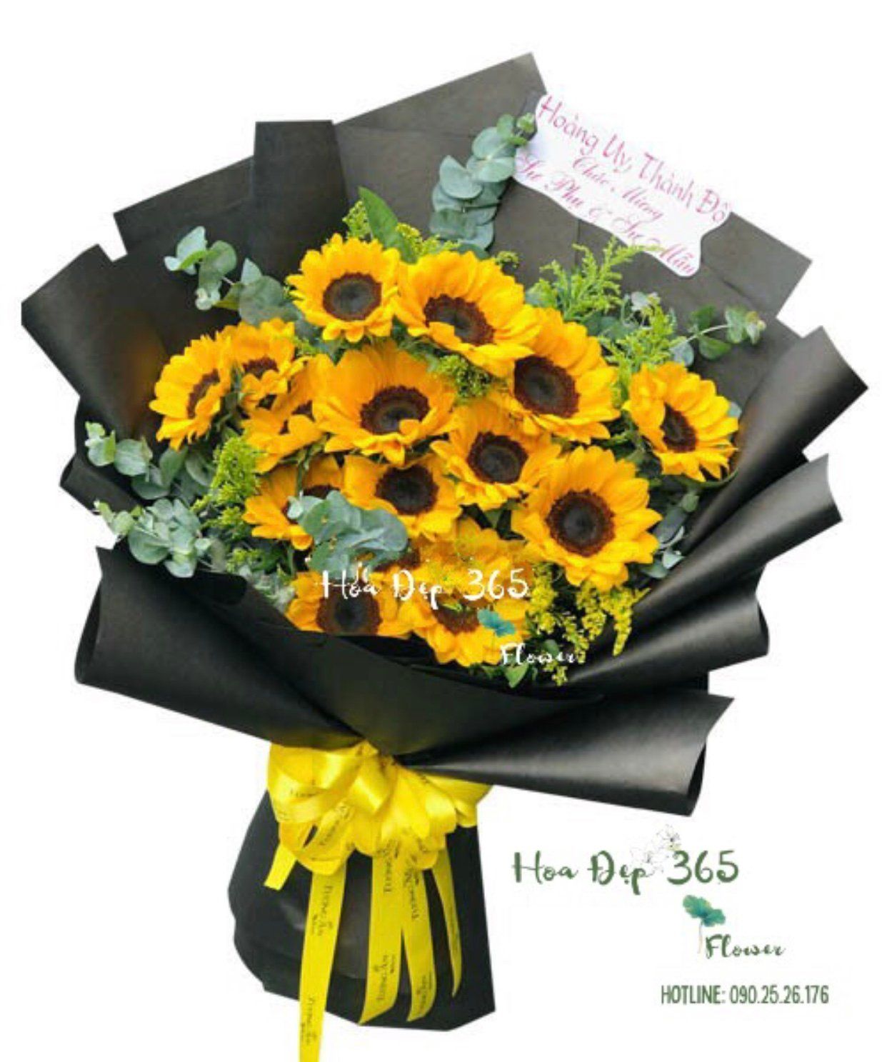 Hướng Dương - HBD180