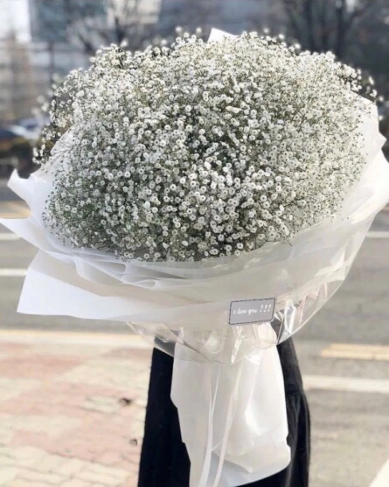 Baby's Breath - HBT25 - Hoa Sinh Nhật