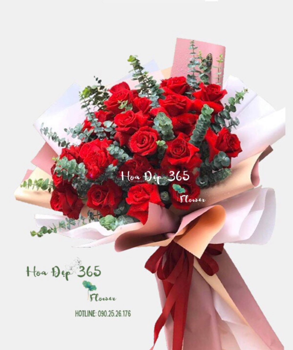 Đợi Chờ - HBD217