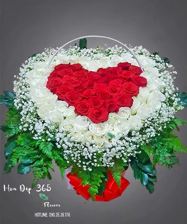 Trái Tim Bất Tận - HG55