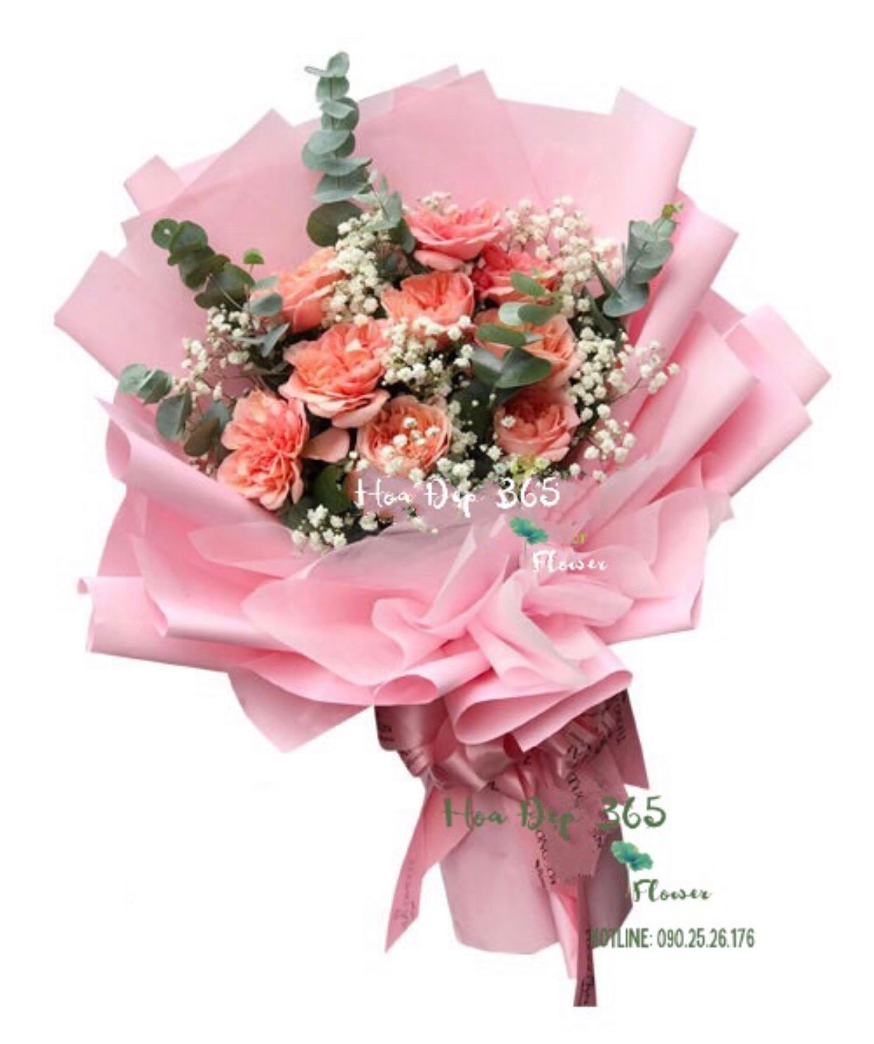 Nụ Hôn Đầu - HBD195