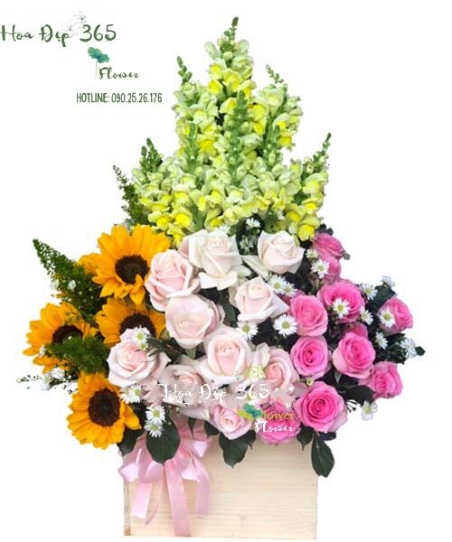Màu Nắng - HCH66 - Ngày Của Mẹ