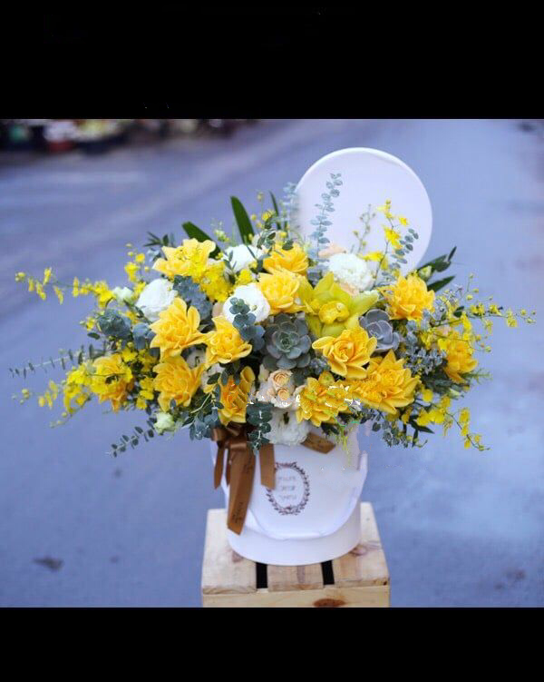 Hộp Hoa Địa Lan Gold Love - HH23