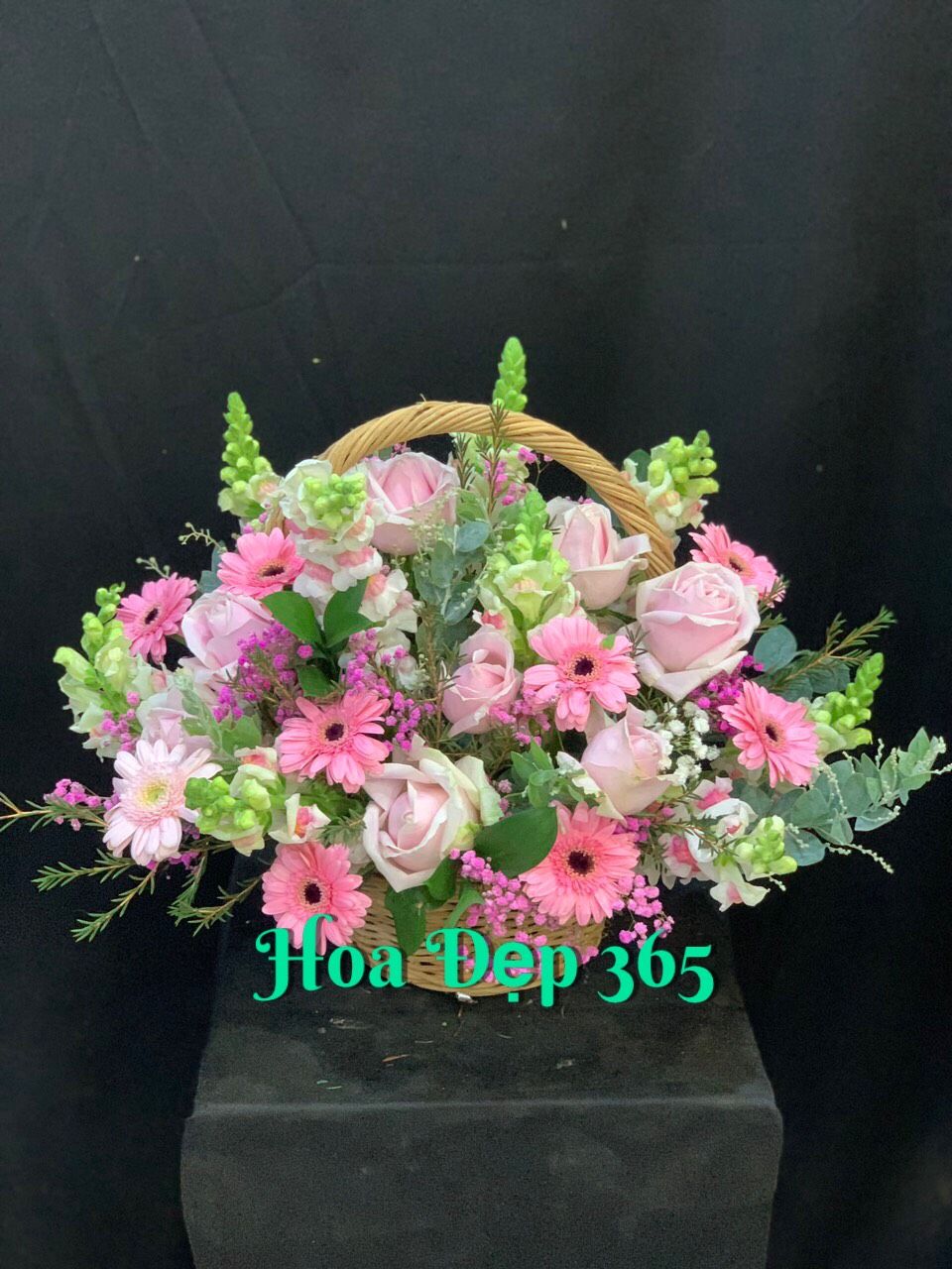 Cõi Mộng Mơ - HG07