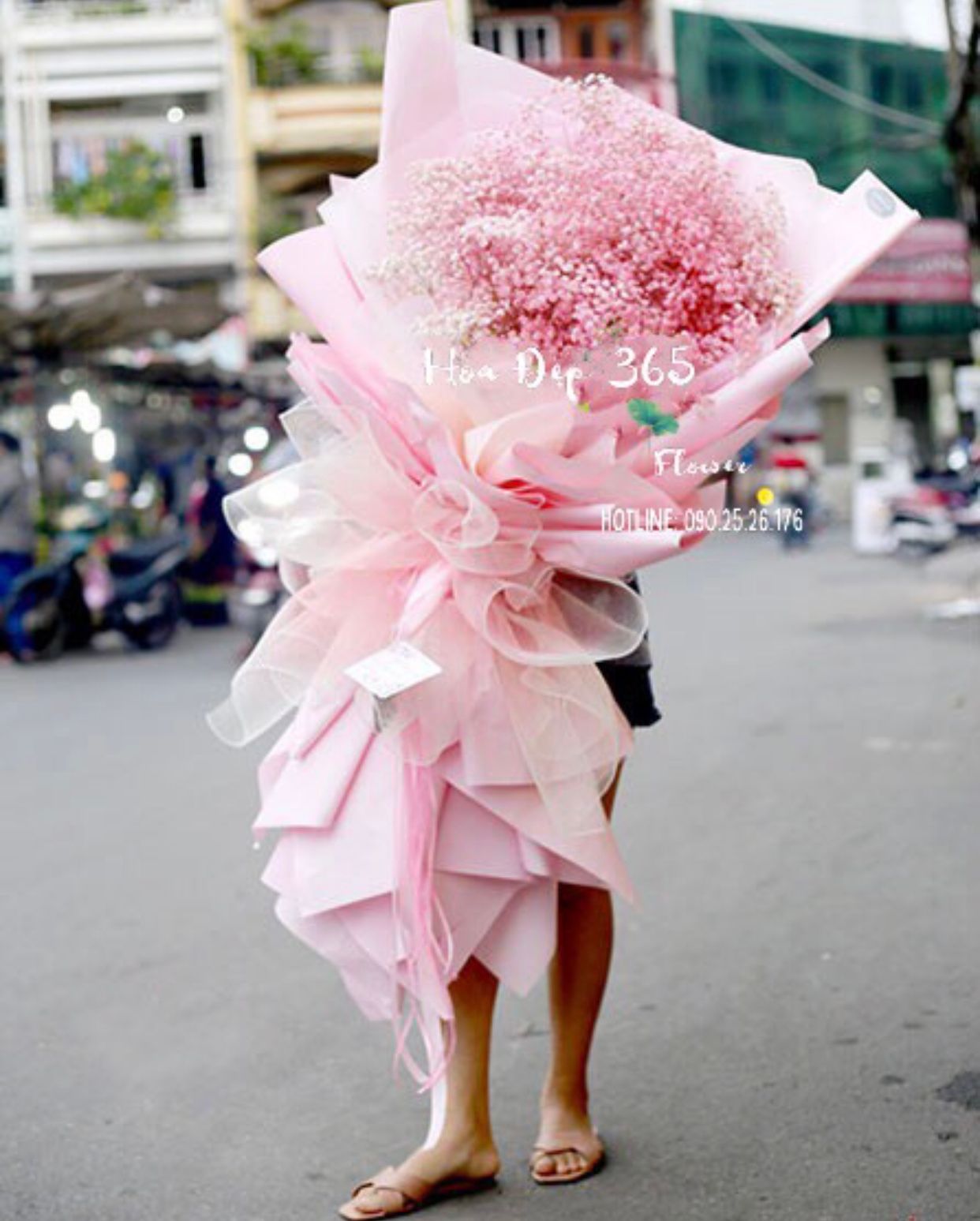 Baby Hồng - HBD23 - Hoa 8/3