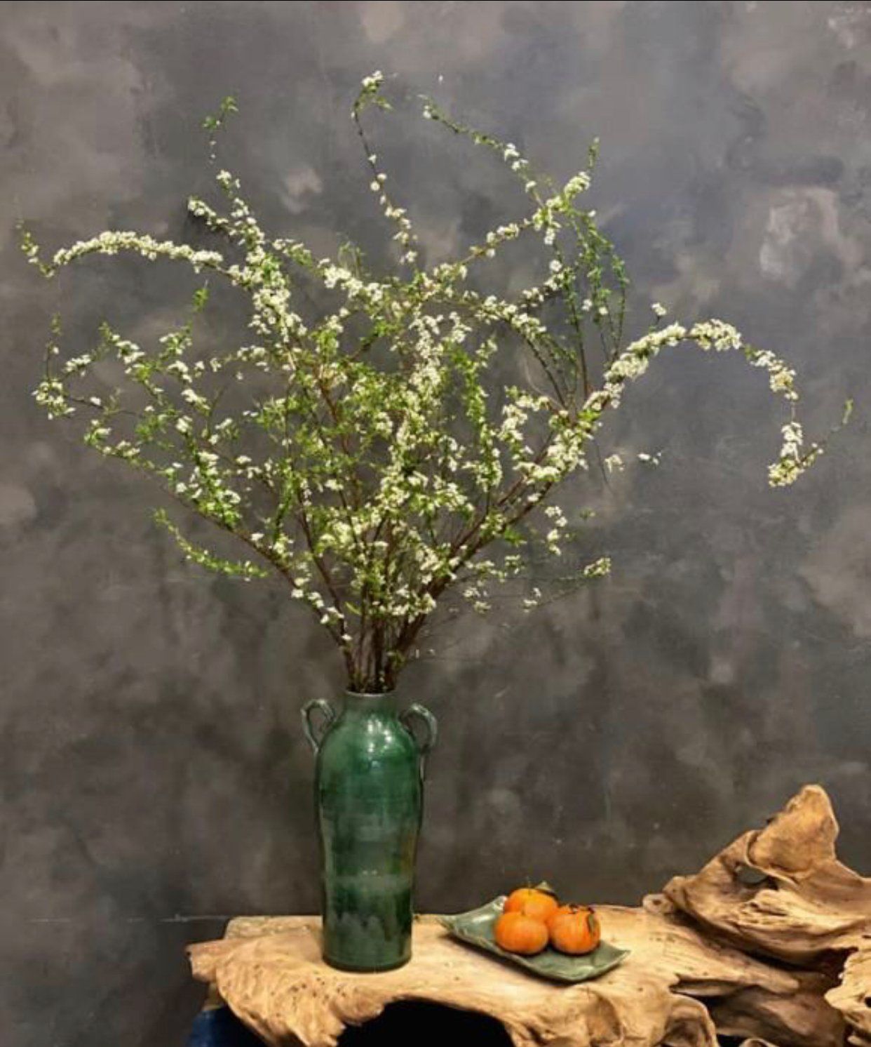 Hoa Tuyết Mai - Hoa Cắt Cành