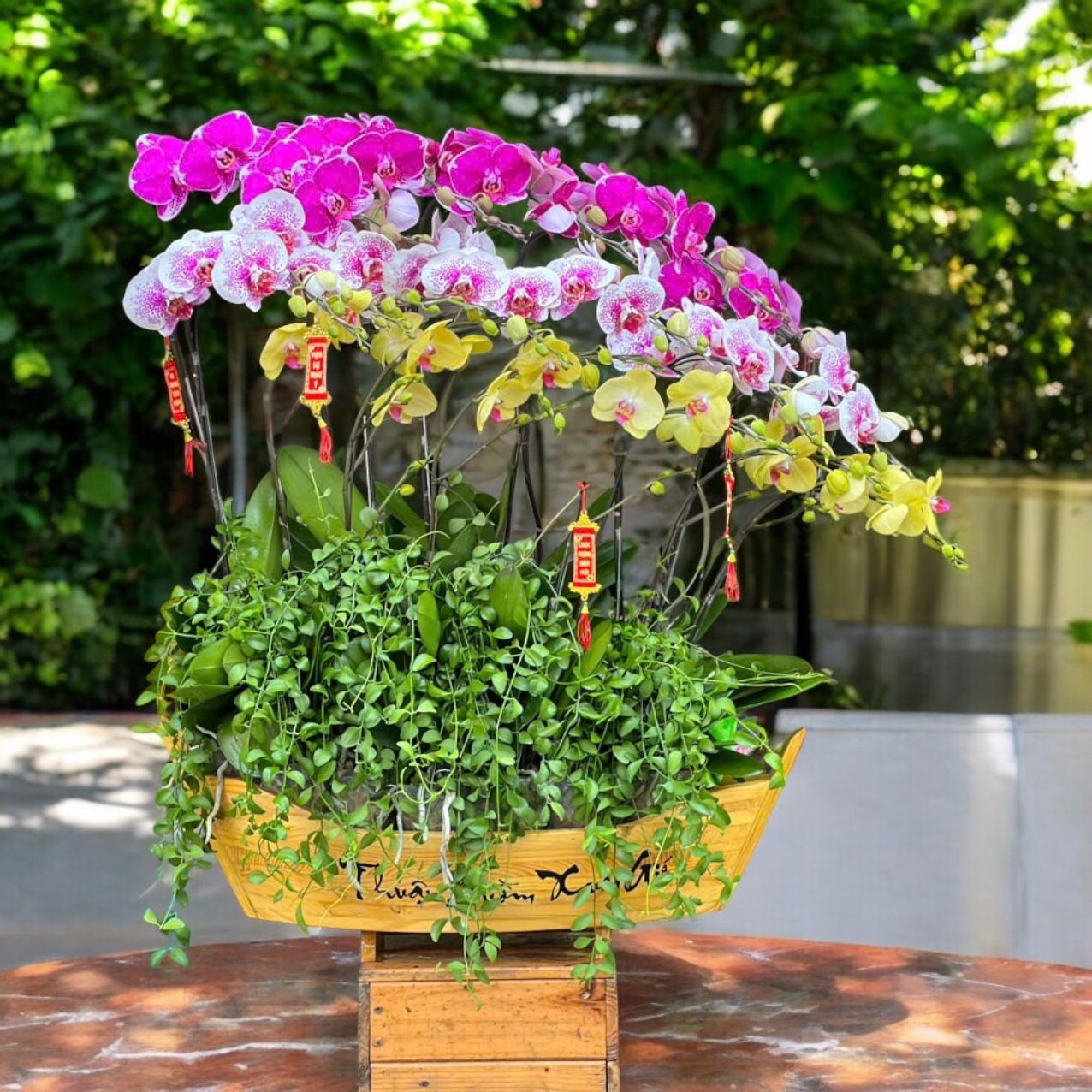 Chiếc Thuyền Lan Hồ Điệp - LHĐ107