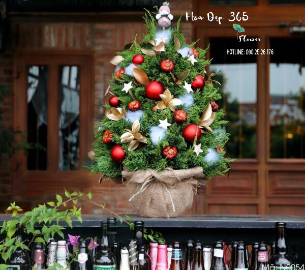 Cây Thông Noel Joyful Pine - HGS08 - Giáng Sinh Bình An