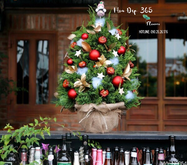  Cây Thông Noel Joyful Pine - HGS08 - Giáng Sinh Bình An 