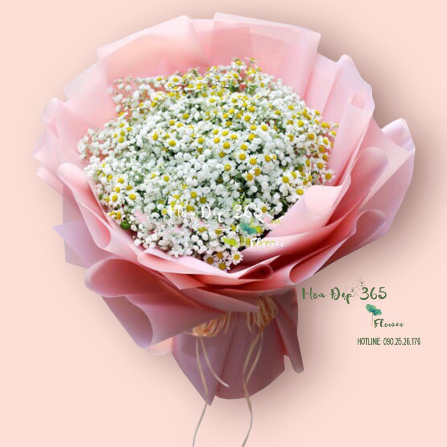 Tana Và Baby - HBT73 - Hoa tặng Mẹ