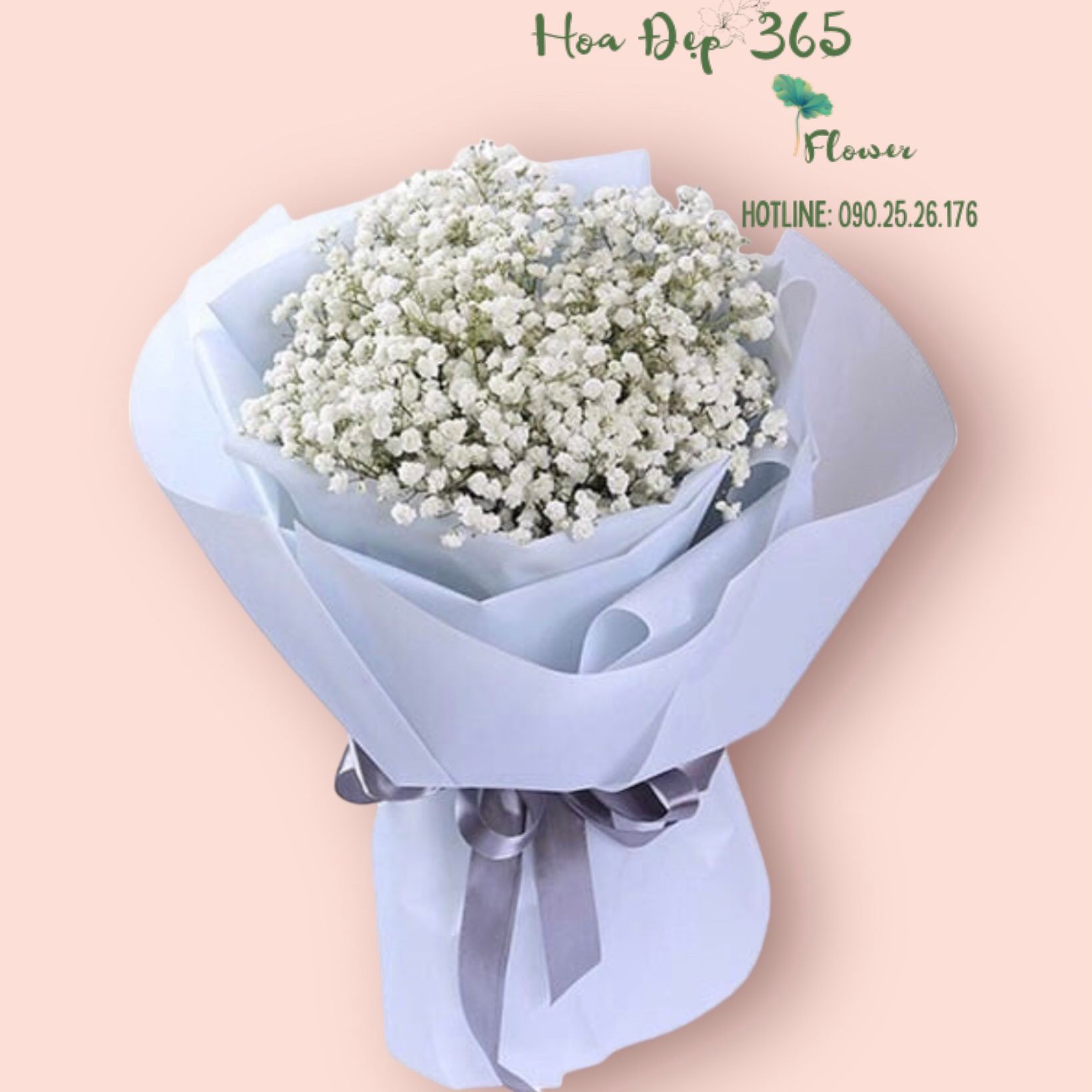 Bó Hoa Baby Trắng Tặng Bạn Gái - HBT58