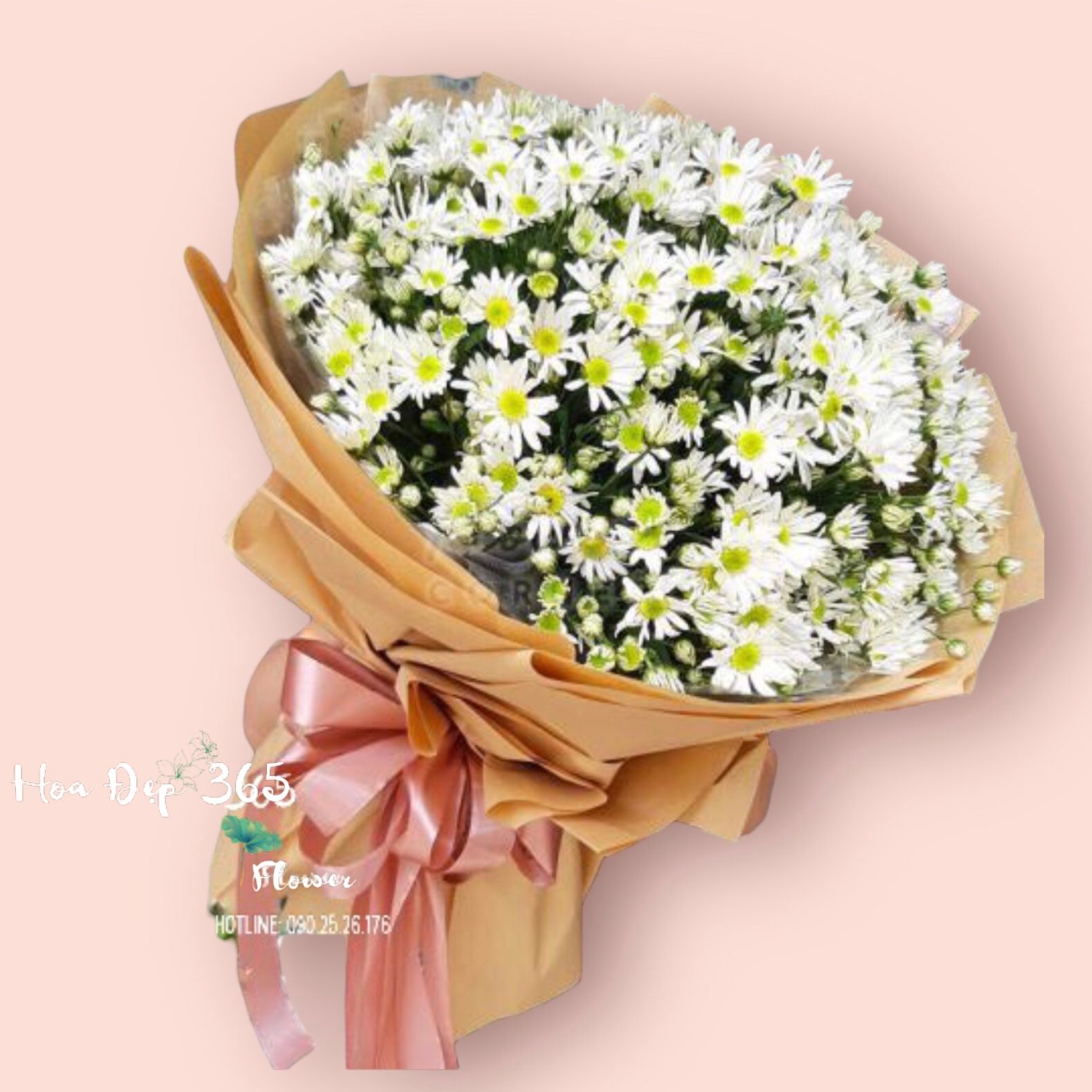 Bó Hoa Cúc Hoạ Mi Siêu To - HBT63 - Hoa Tươi