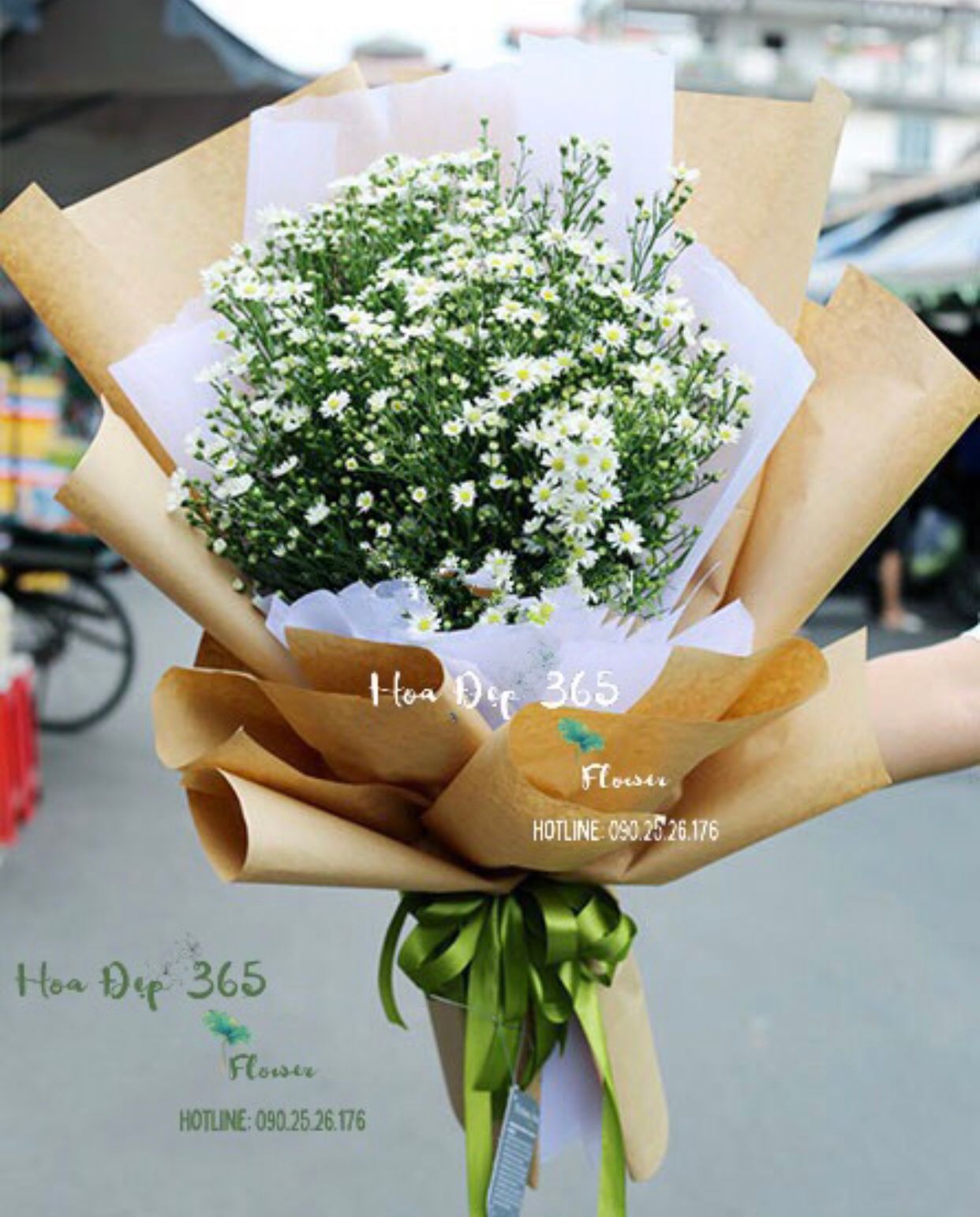 Thạch Thảo - HBD06