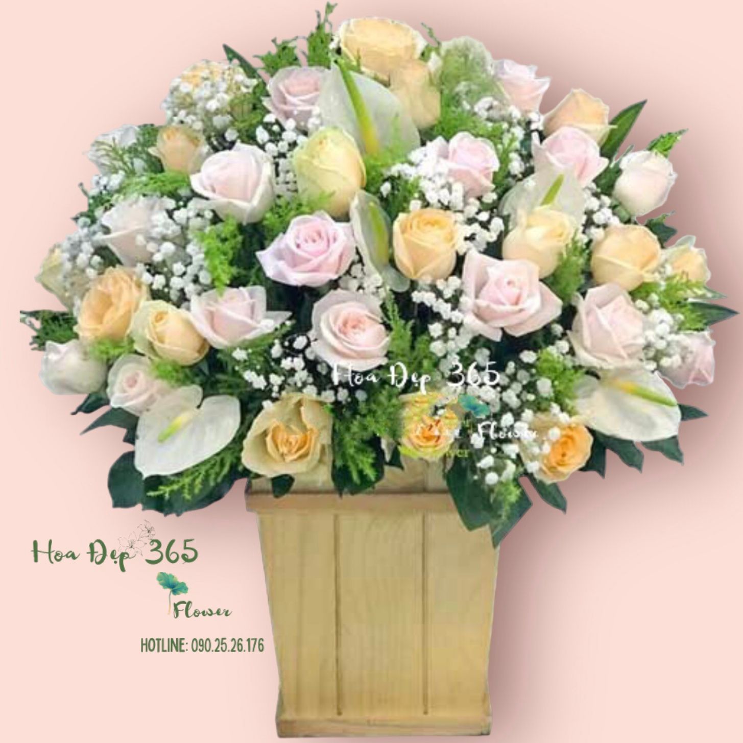 Sắc Hồng Xinh - HCH50 - Điện Hoa