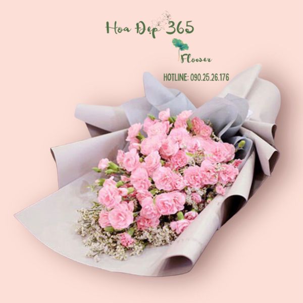 Bó Hoa Cẩm Chướng Hồng - HBD54 - Hoa Tặng Mẹ
