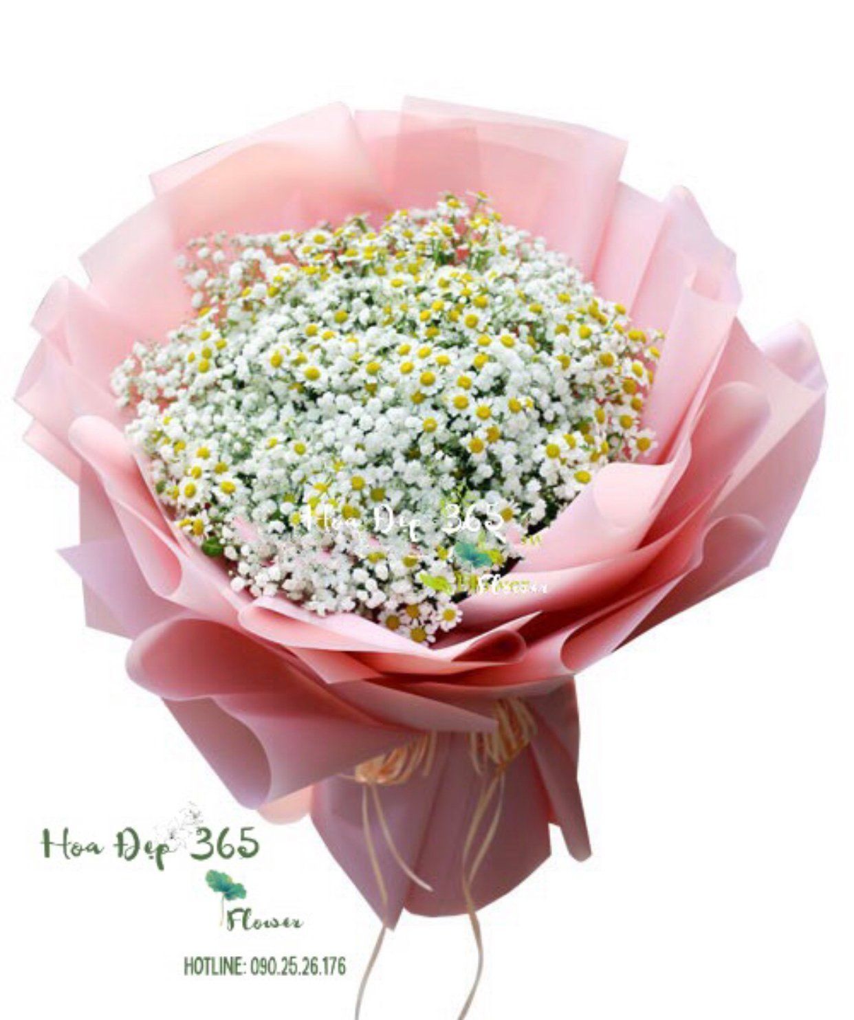 Tana Và Baby - HBT73 - Hoa tặng Mẹ