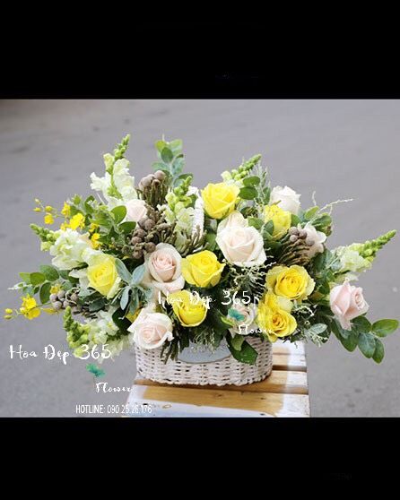 Hello Ngày Mới - HG33