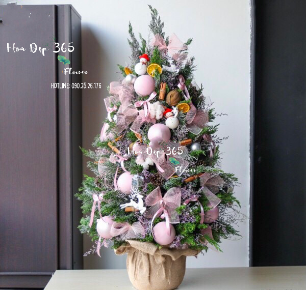 Cây Thông Noel Holly Jolly Cedar - HGS10 - Giáng Sinh Hạnh Phúc