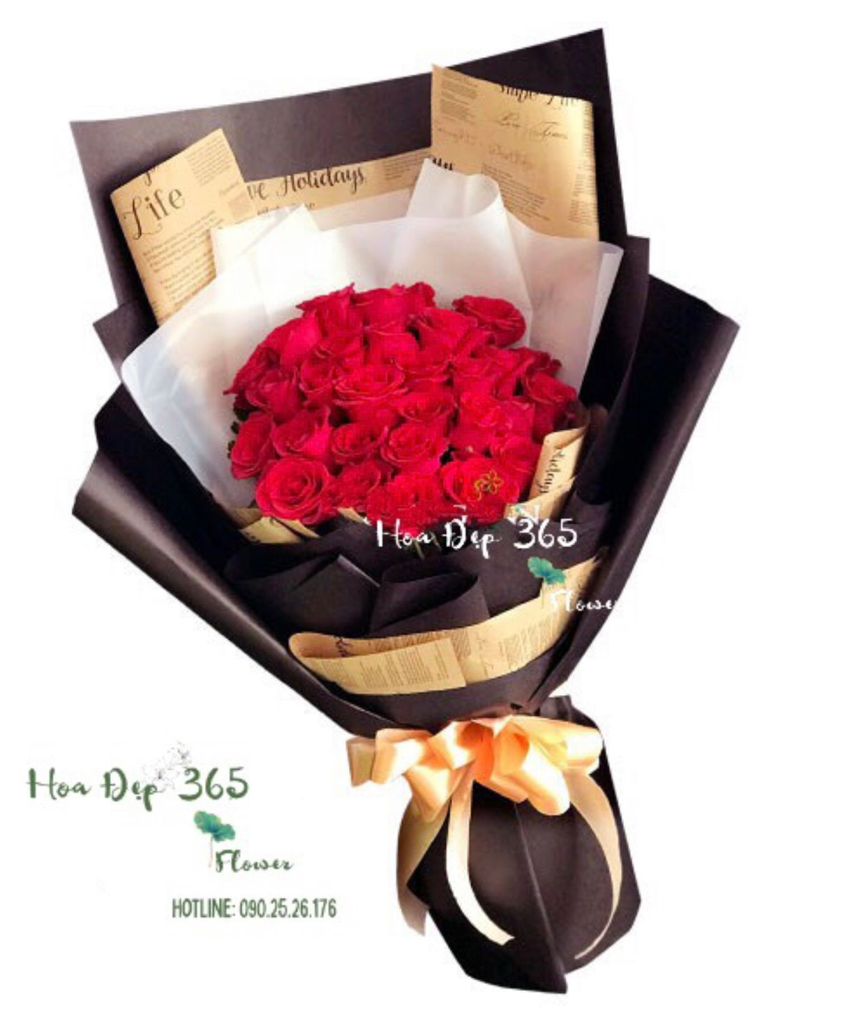 Gõ Cửa Trái Tim - HBD178