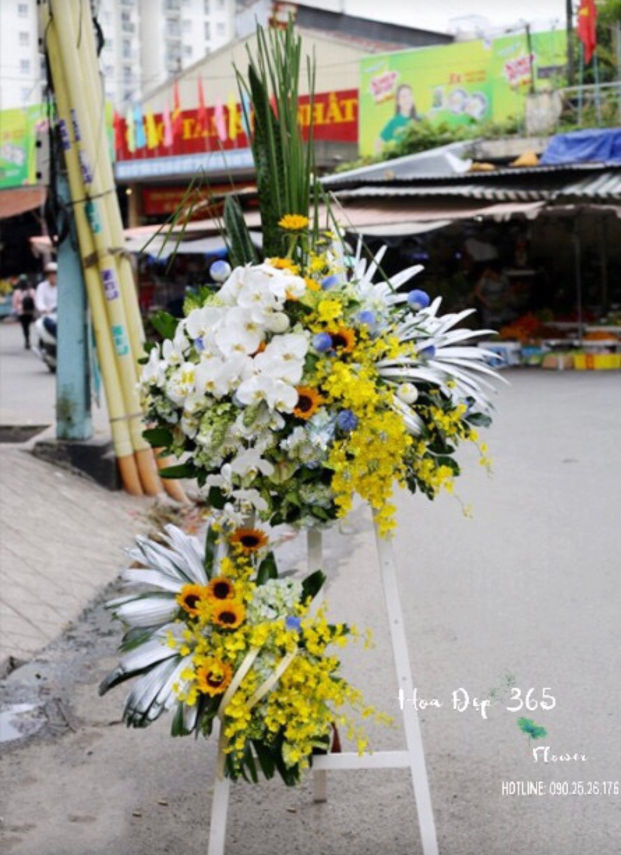 Jubilant - GT29 - Kệ Hoa Khai Trương