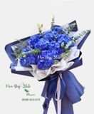  Bầu Trời Của Anh - HBD219 - Hoa 8/3 