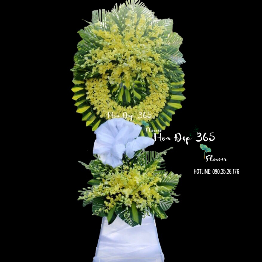 Nắng Chiều - HTL36 - Vòng Hoa Tang Lễ