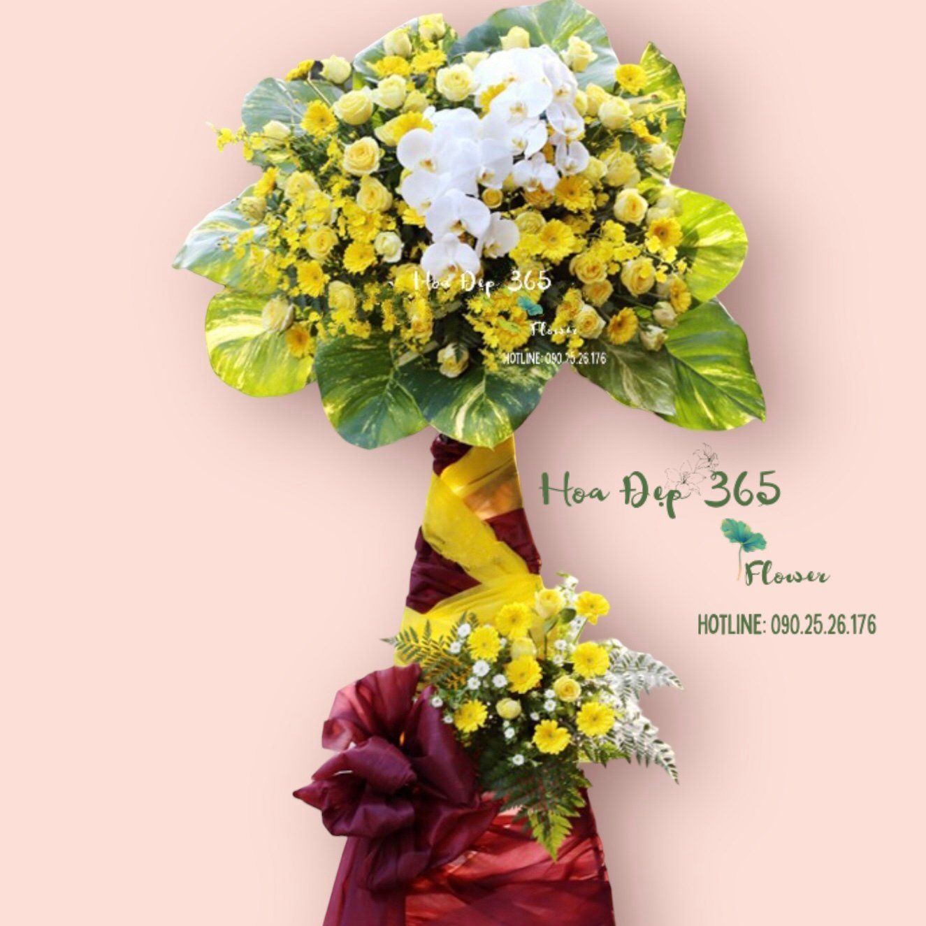 Tầm Cao Mới - HCM14 - Kệ Hoa Khai Giảng