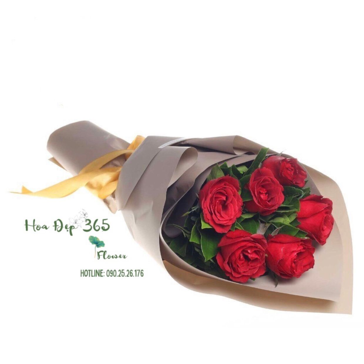 My Darling- HBD68
