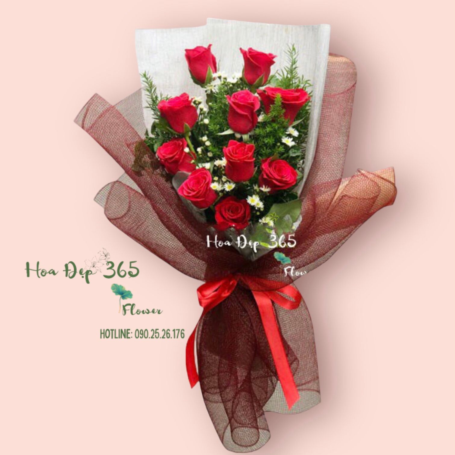 Giản Đơn - HBD185 - Hoa tặng 20/11 ý nghĩa