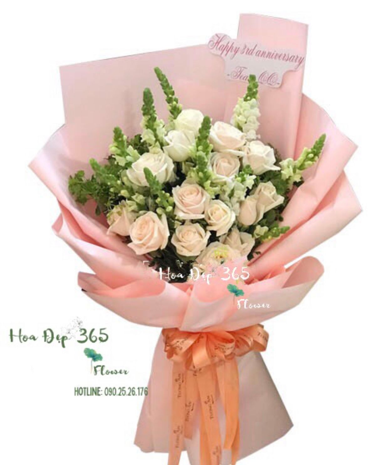 Hồng Tươi - HBD145 - Hoa Hồng 20/10 - Hoa Hồng Pastel và Hoa Mõm Sói